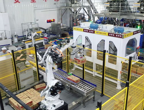 盐津铺子董事长张学武 以匠心与远见，铸就中国卓越食品制造企业